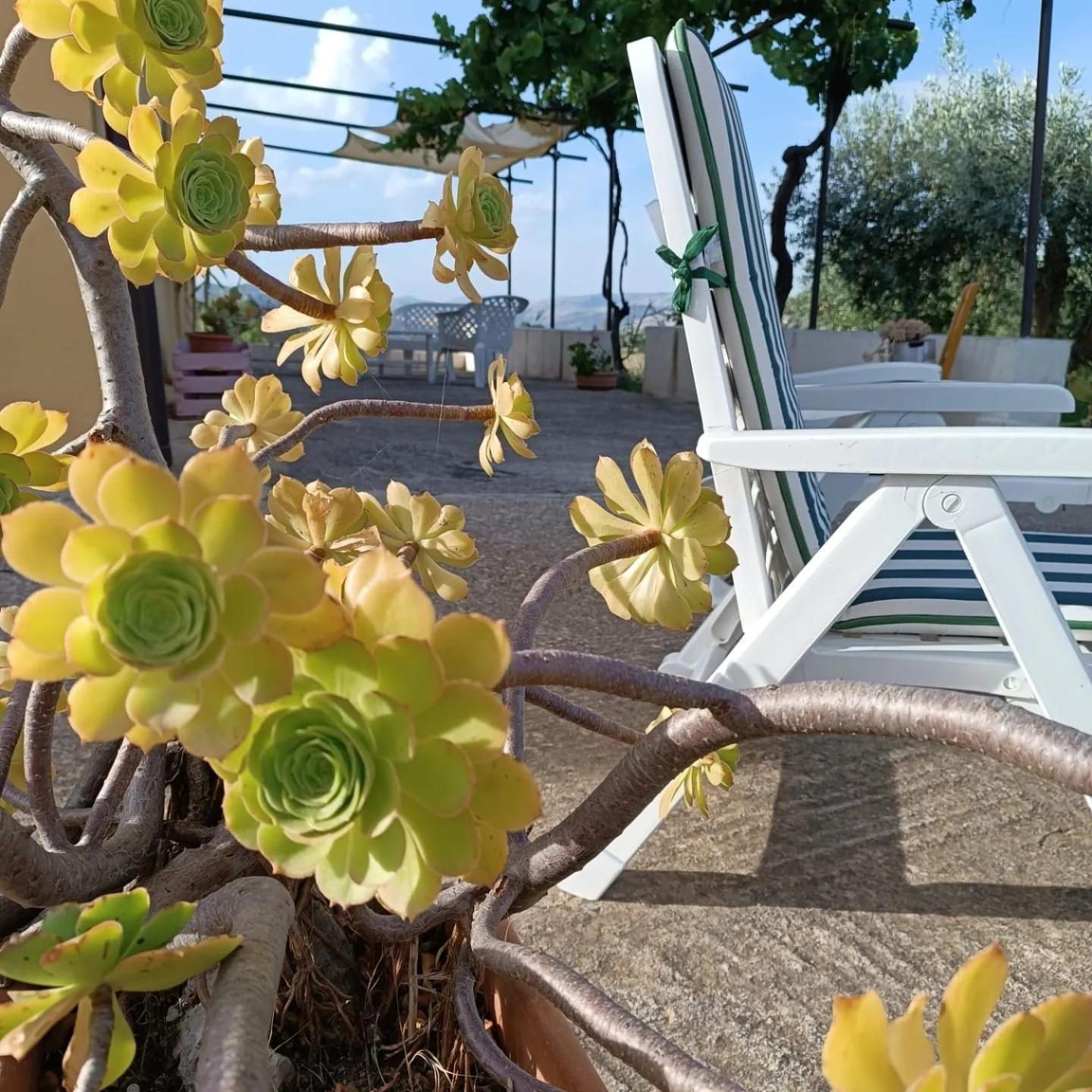 Casa vacanze Sicilia Casteltermini Esterno foto